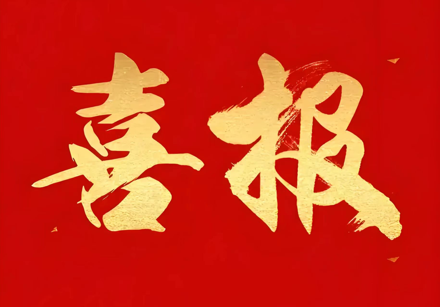 可按栏目接着查阅相关条目